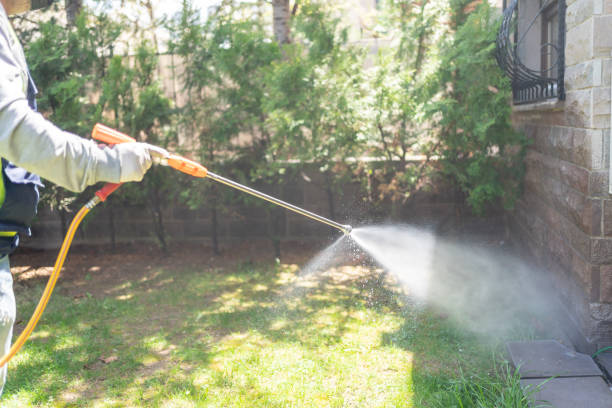 Best Seasonal Pest Control (e.g., summer mosquitoes, winter rodents)  in Dover Beaches North, NJ